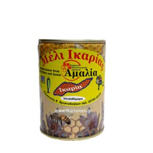 Μέλι πευκοθύμαρο 450 γρ.